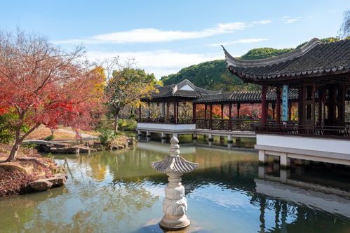 蘇州虎丘山秘境 被時光遺忘的幽靜古典園林