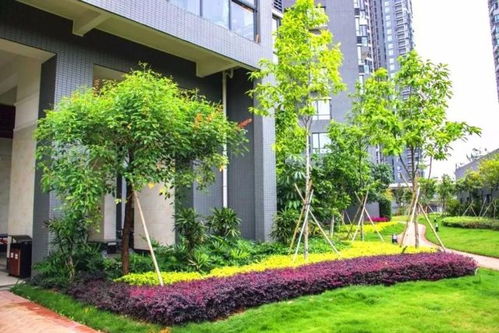 匠心筑境 詩意棲居——中國風景園林學會“優秀園林工程”精品項目回顧