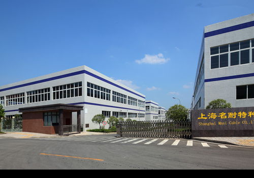 名耐抗拉耐磨吊具電纜 廠家價格、圖片及批發(fā)采購全解析